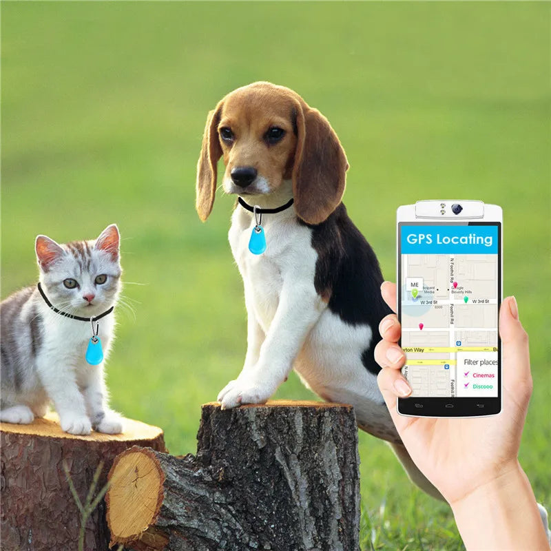 BuddyFinder Pro: Segurança à mão